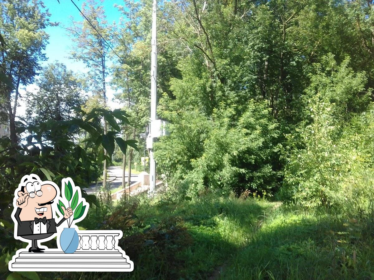 Фото с Google