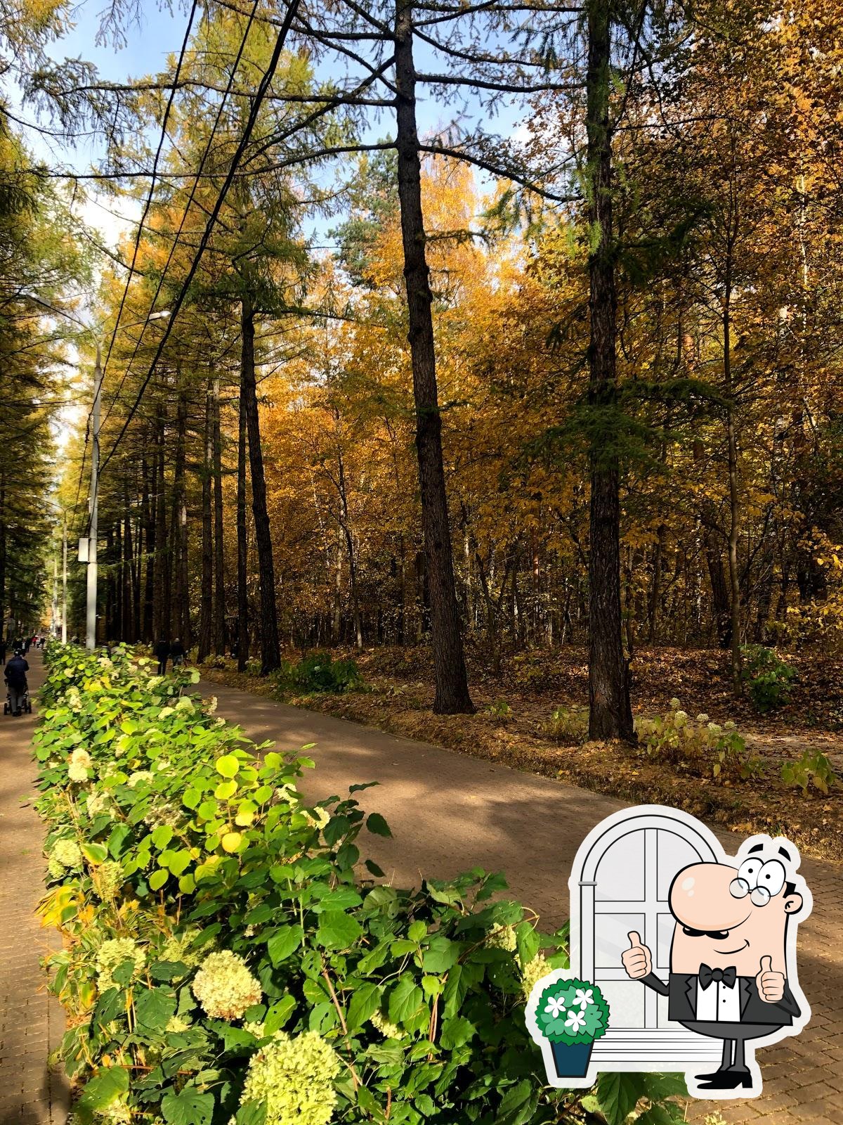 Фото с Google