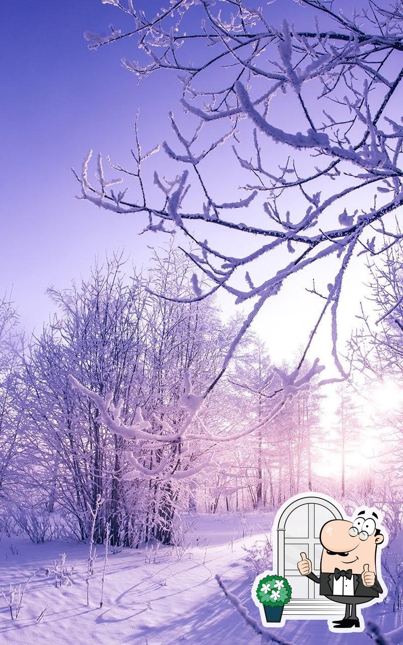 Фото с Google