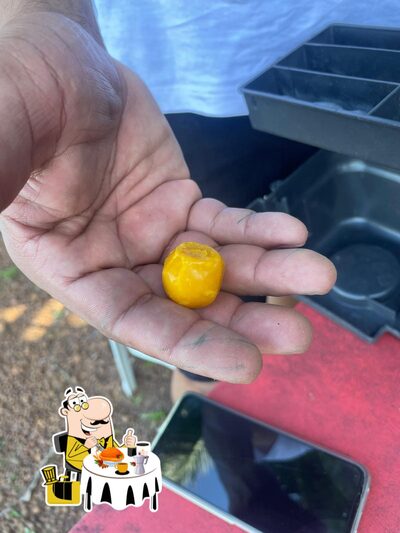 Comida em Pesque Pague e Restaurante Koizaboa