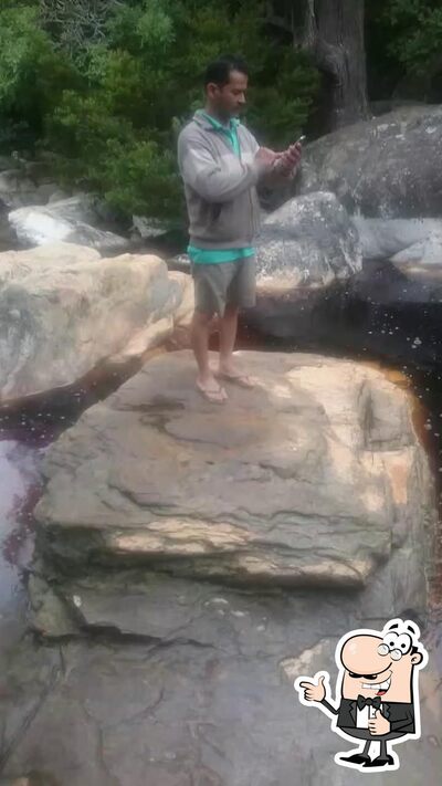 Parada do Elefante foto