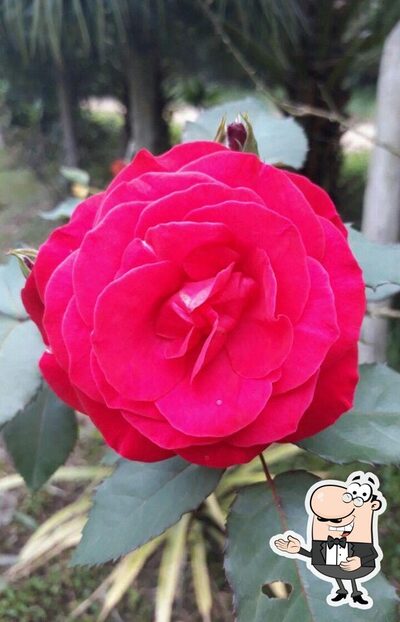 Rancho das Ostras foto