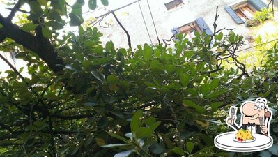 Cibo al Osteria Trattoria Al Nono Risorto