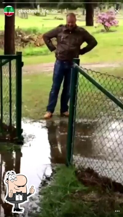 Parada do Elefante foto