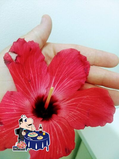 Panificadora e Confeitaria Bom Gosto foto