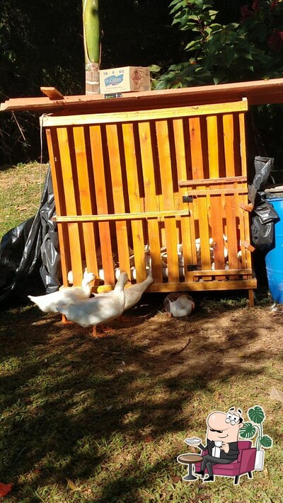 Veja imagens do interior do Pesque e Pague do Silésio