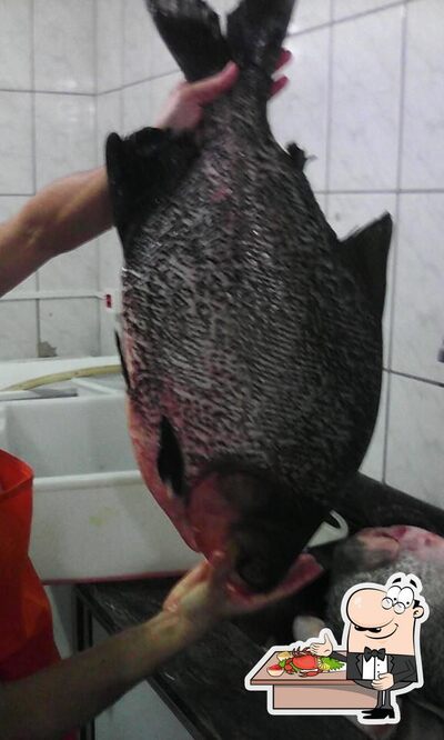 Saboreie os sabores do mar no Ranchao do peixe