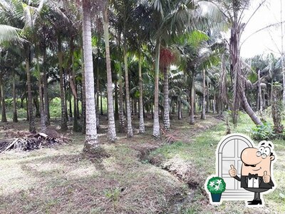 a área exterior é uma característica importante do Rancho das Ostras