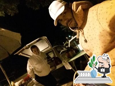 Desfrute da vista do exterior MococaDog