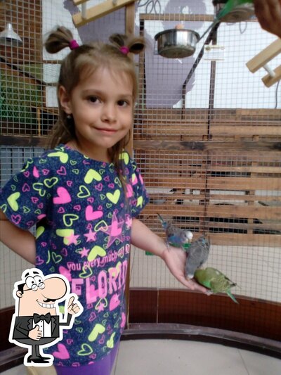 Фотография Вабанк