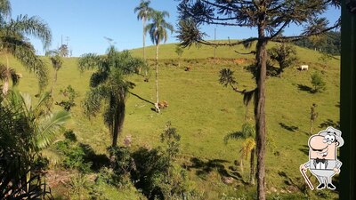 Você pode espairecer no na área externa do Bar da Bia