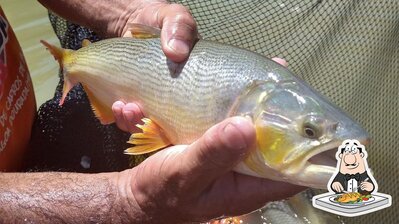 Pesque Pague Jacarandà oferece um menu para amantes de pratos de peixe