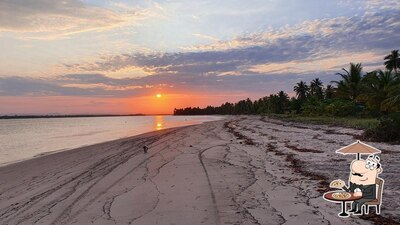 Desfrute da vista da área externa do Pousada Coco Dendê