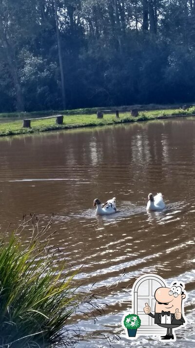 Veja a área externa do Pesque e Pague Mariot