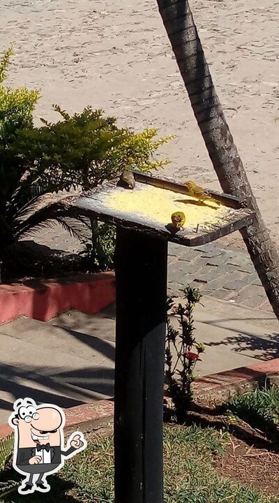 Veja imagens do exterior do Restaurante Coisas de Minas