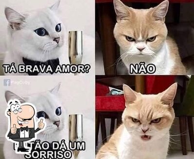 Capeta da Praia foto