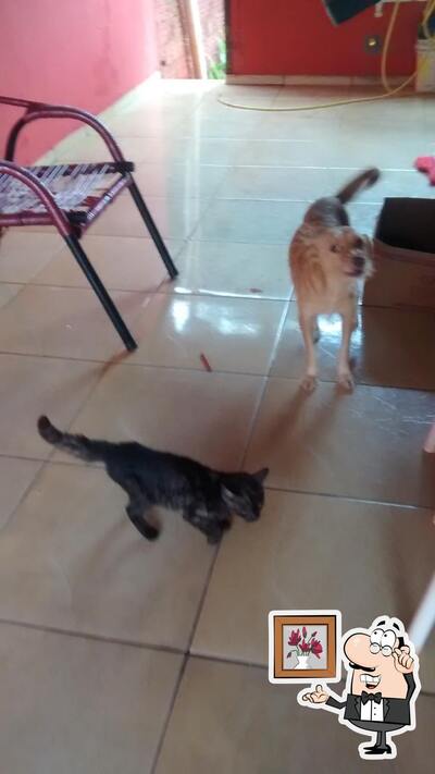 O interior do Big Lanches