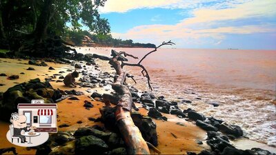 Veja imagens do exterior do Cabana Laphayette