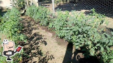 o exterior é uma característica importante do Comunidade Pecuama