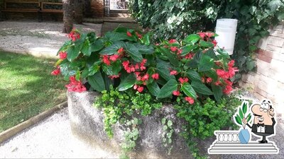 Guarda gli esterni di Bujici, Porec