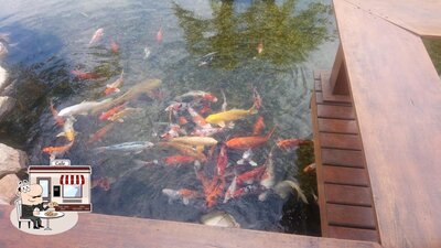 a área exterior é uma característica importante do Restaurante Rota Sul