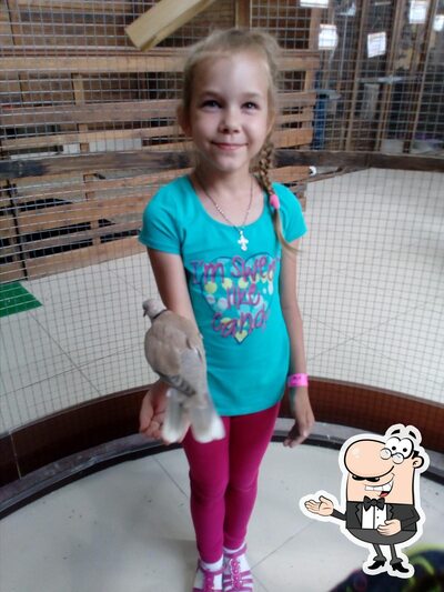 Фотография Вабанк