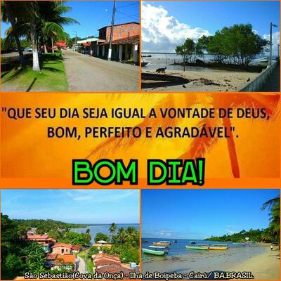 Leia as informações sobre o Toca da onca