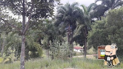 Desfrute da vista do exterior Pesque Pague Capelinha