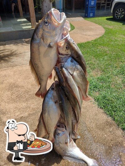 Prove refeições de peixe no Trailer Império Do Peixe
