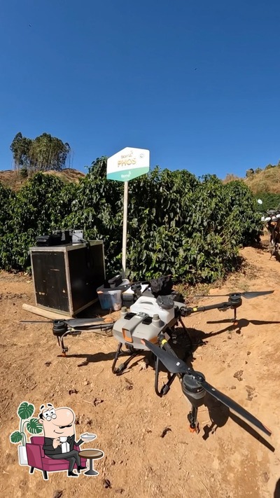 Veja imagens do interior do Café Sena