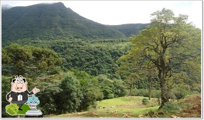 o exterior é uma característica importante do Pousada Bugio da Serra