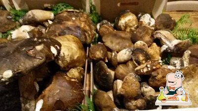 Prova la cucina di mare al ristorante Vino e Camino Ristorante