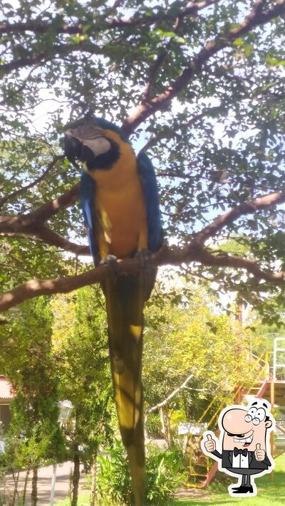 Pesqueiro Serra Azul foto