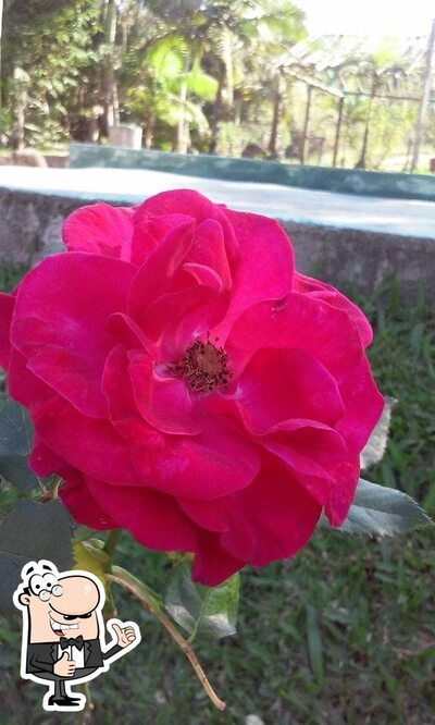 Rancho das Ostras foto