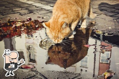 Наслаждайтесь свежим воздухом и видом, открывающемся из "Амбар Кафе"