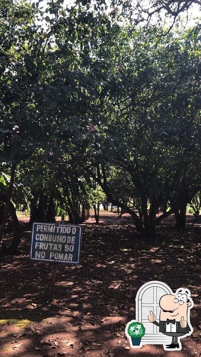 Veja a área externa do Restaurante do Rio Sucuri