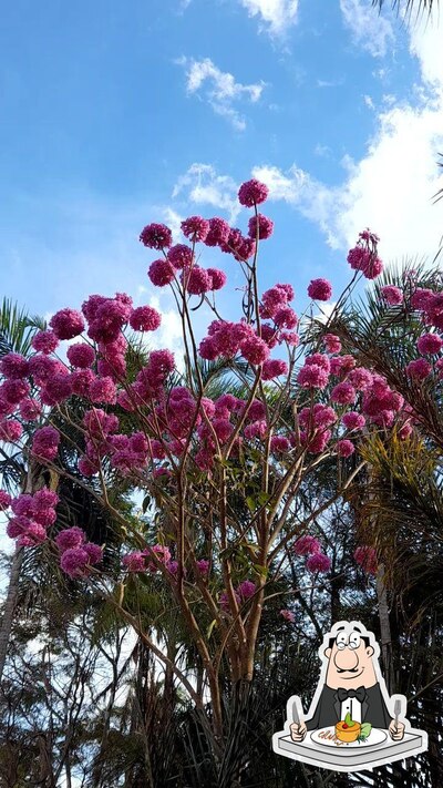 Comida em Pizzaria Forno de Ouro