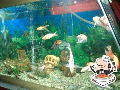 Mestre Kami fornece um menu para amantes de pratos de peixe