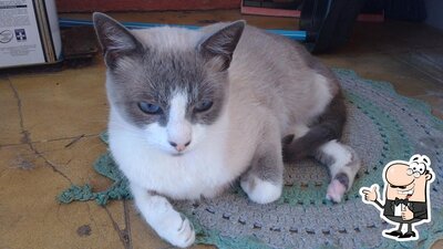 Edinho Lanches e Doces foto