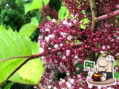 Platos en Empório Loanda