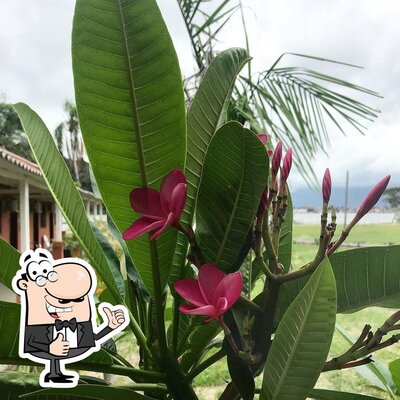 Iate Clube Rio Verde foto