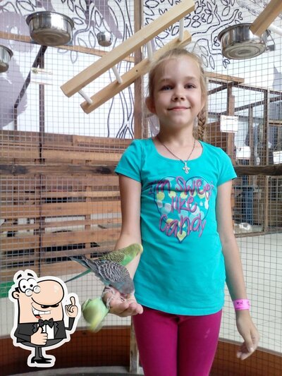 Фотография Вабанк