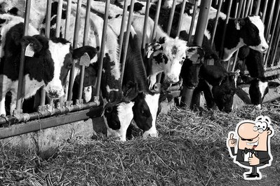 Ristorante Agr. Fattoria dei Rossi foto
