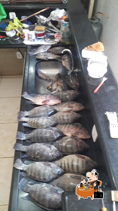 Pesqueiro tamanduá foto